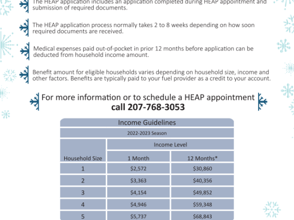 HEAP APPLICATION INFO